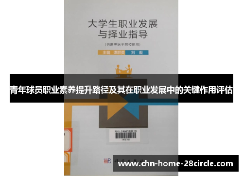 青年球员职业素养提升路径及其在职业发展中的关键作用评估