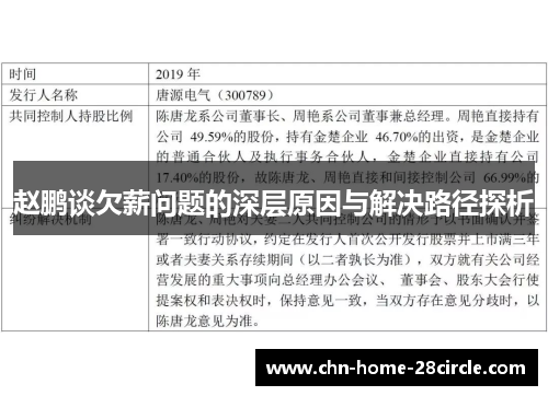 赵鹏谈欠薪问题的深层原因与解决路径探析