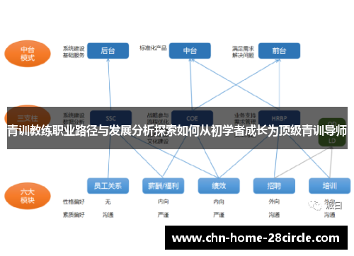 青训教练职业路径与发展分析探索如何从初学者成长为顶级青训导师